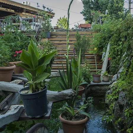 ホテル ローマ ケーブ スイート ギョレメ