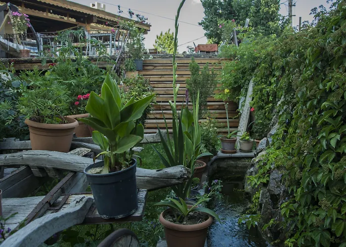 ホテル ローマ ケーブ スイート ギョレメ